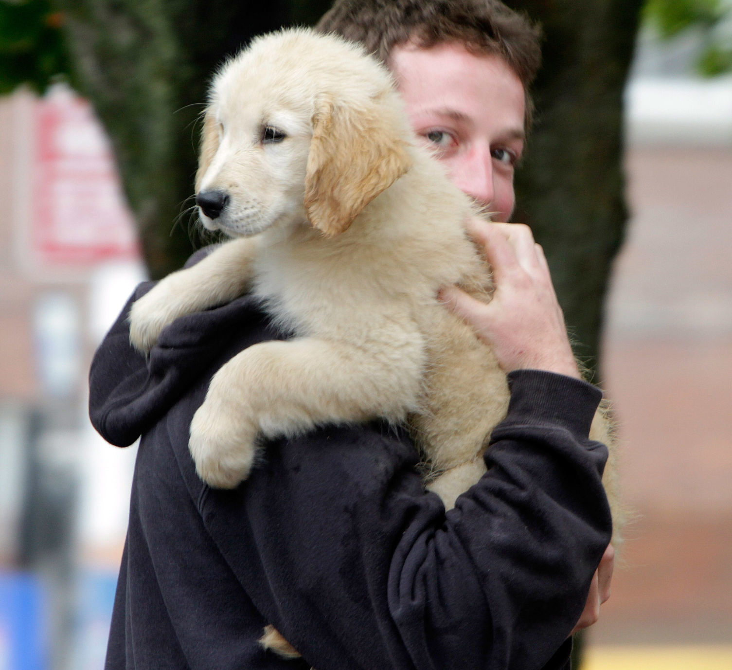 Puppy ride
